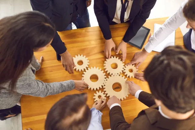 Why you need a project manager for IT Projects.